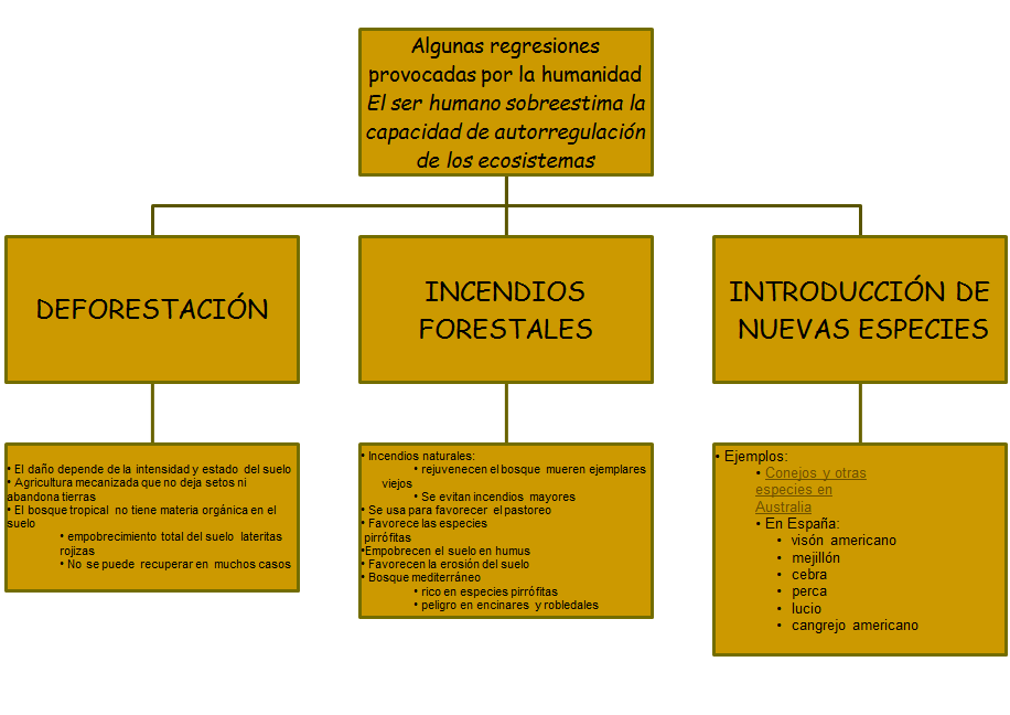 Especies amenazadas y en peligro de extinción