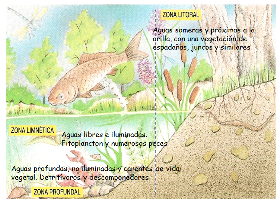 Especies amenazadas y en peligro de extinción