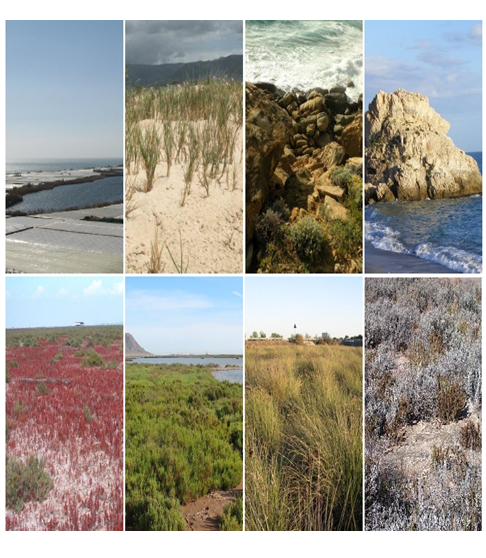 Consecuencias de la pérdida de la biodiversidad. Medidas Internacionales para proteger la biodiversidad. Convenio sobre el comercio de especies en peligro de extinción.