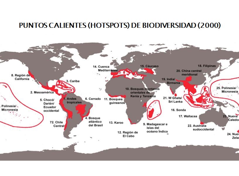 Consecuencias de la pérdida de la biodiversidad. Medidas Internacionales para proteger la biodiversidad. Convenio sobre el comercio de especies en peligro de extinción.