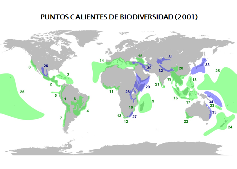 Consecuencias de la pérdida de la biodiversidad. Medidas Internacionales para proteger la biodiversidad. Convenio sobre el comercio de especies en peligro de extinción.