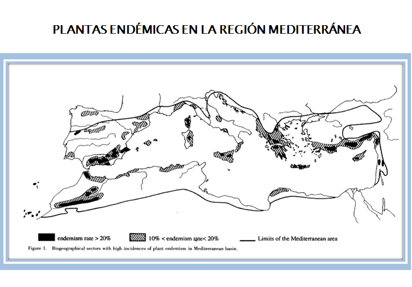 Consecuencias de la pérdida de la biodiversidad. Medidas Internacionales para proteger la biodiversidad. Convenio sobre el comercio de especies en peligro de extinción.