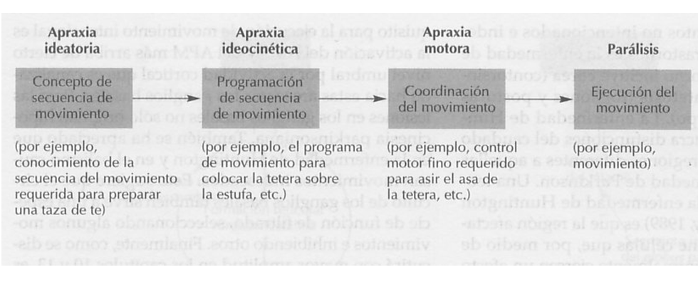 Definiciones de la Neuropsicología. 
