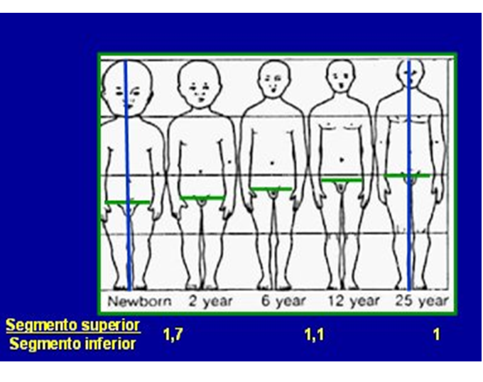 Neurodesarrollo de 0 a 6 años