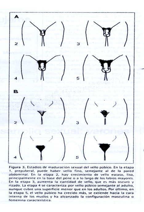 Neurodesarrollo de 0 a 6 años