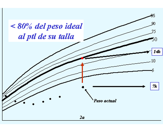 Neurodesarrollo de 0 a 6 años