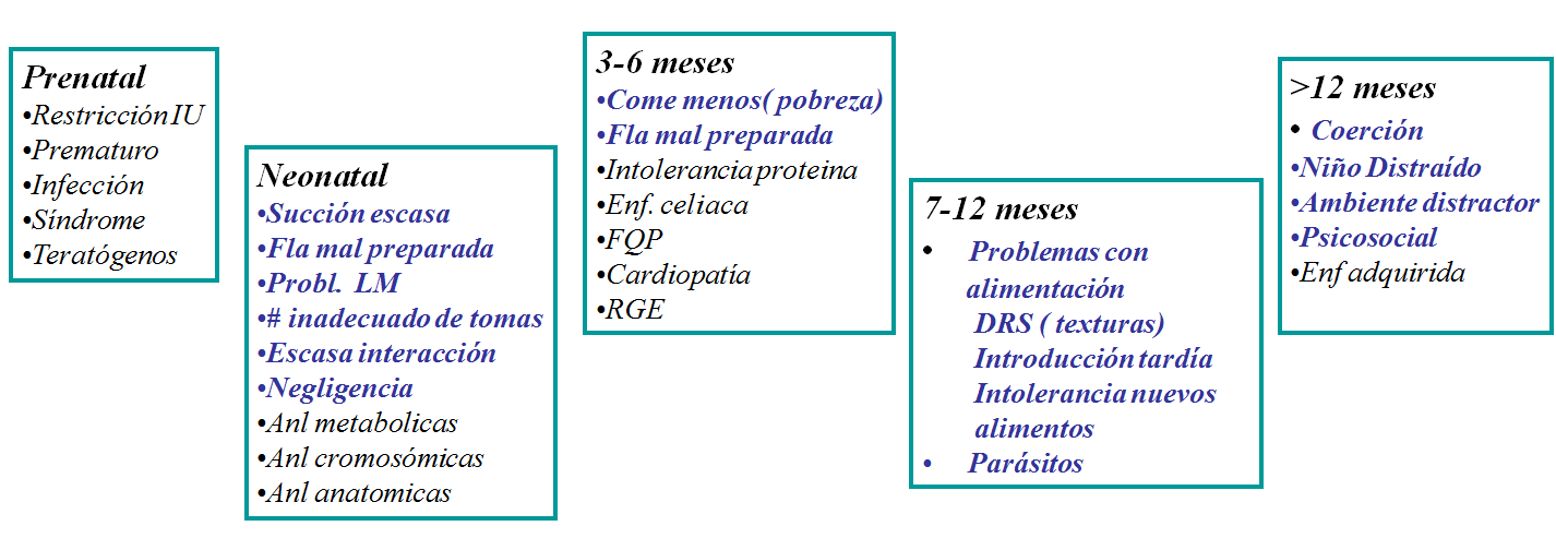 Neurodesarrollo de 0 a 6 años