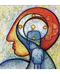  Procesos cognitivos: Atención, sensación, percepción, memoria.