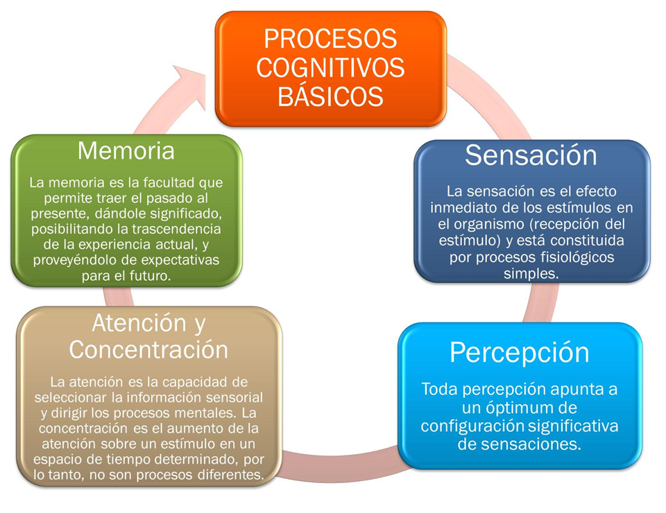  Procesos cognitivos: Atención, sensación, percepción, memoria.