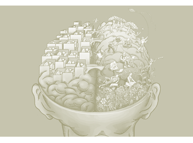  Procesos cognitivos: Atención, sensación, percepción, memoria.