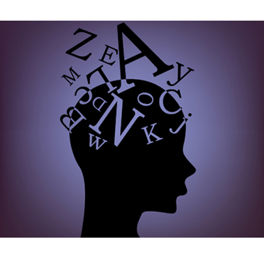  Procesos cognitivos: Atención, sensación, percepción, memoria.