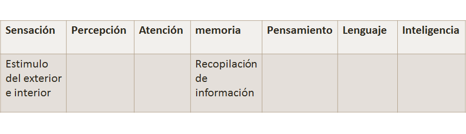  Procesos cognitivos: Atención, sensación, percepción, memoria.