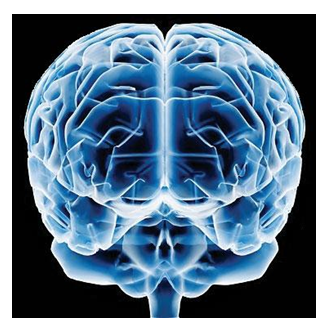  Procesos cognitivos: Atención, sensación, percepción, memoria.
