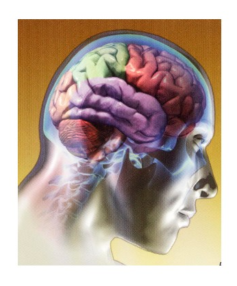  Procesos cognitivos: Atención, sensación, percepción, memoria.