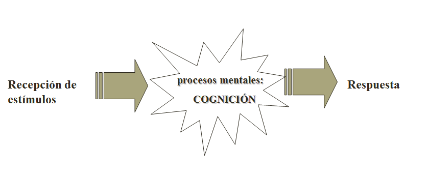  Procesos cognitivos: Atención, sensación, percepción, memoria.