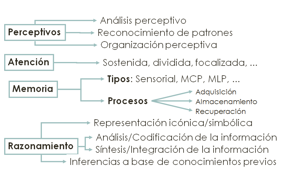  Procesos cognitivos: Atención, sensación, percepción, memoria.