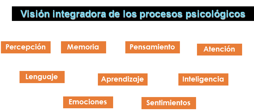 Procesos cognitivos II: Pensamiento e inteligencia.