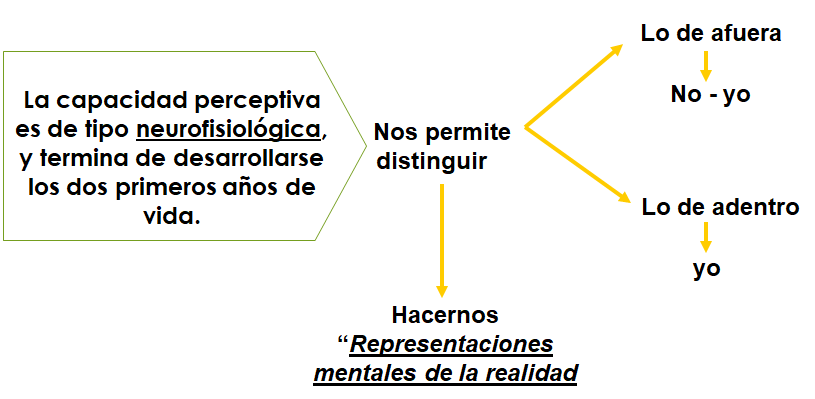 Procesos cognitivos II: Pensamiento e inteligencia.
