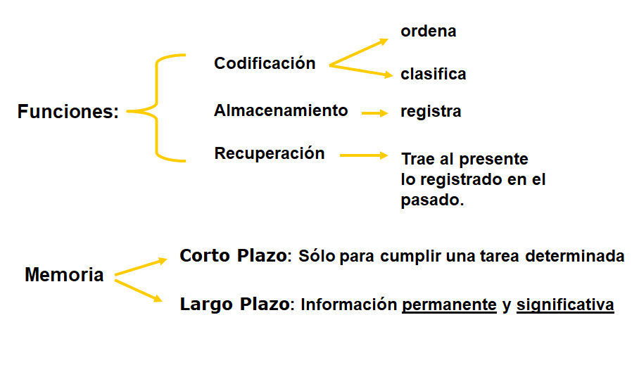 Procesos cognitivos II: Pensamiento e inteligencia.