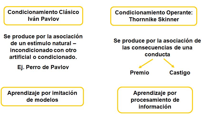 Procesos cognitivos II: Pensamiento e inteligencia.