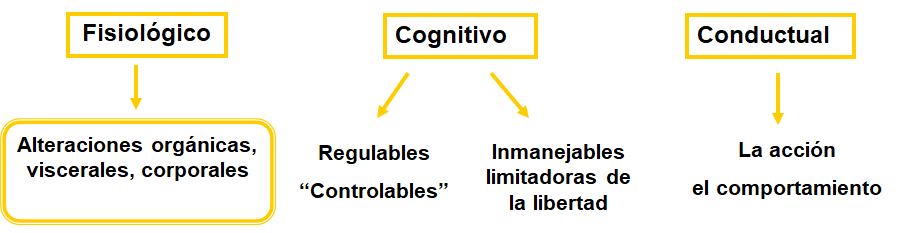 Procesos cognitivos II: Pensamiento e inteligencia.