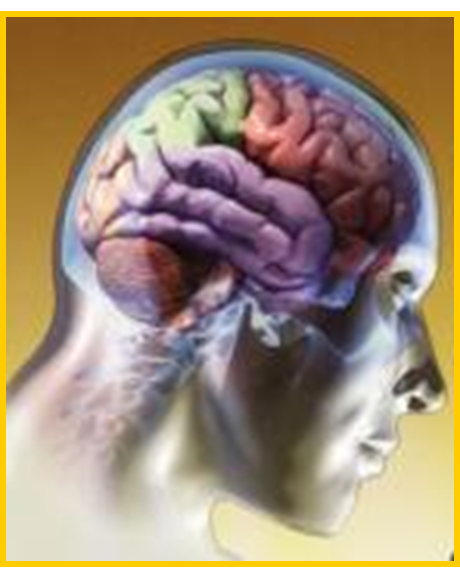 Procesos cognitivos II: Pensamiento e inteligencia.