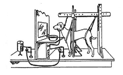 Historia de la Psicología: - Antecedentes filosóficos.