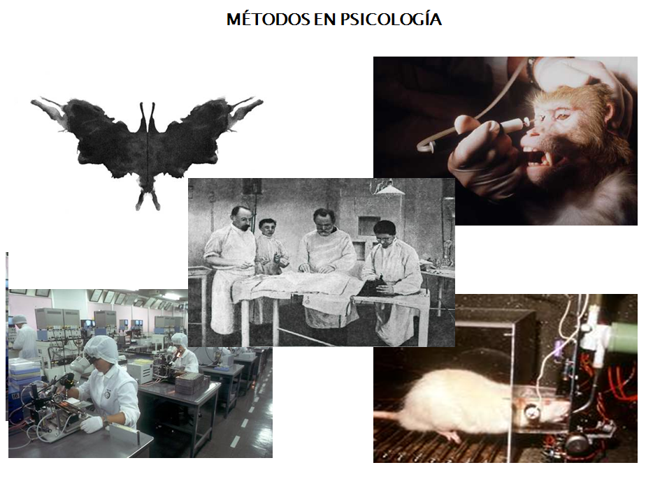 Historia de la Psicología: - Antecedentes filosóficos.