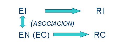Proceso histórico de la psicología: estructuralismo, funcionalismo, psicoanálisis.