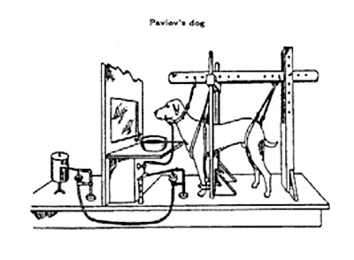 Escuelas psicológicas históricamente importantes: Conductismo, humanismo, psicología cognitiva.