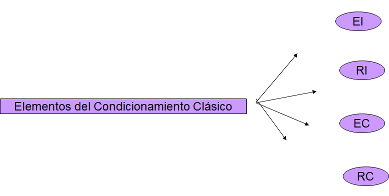Escuelas psicológicas históricamente importantes: Conductismo, humanismo, psicología cognitiva.