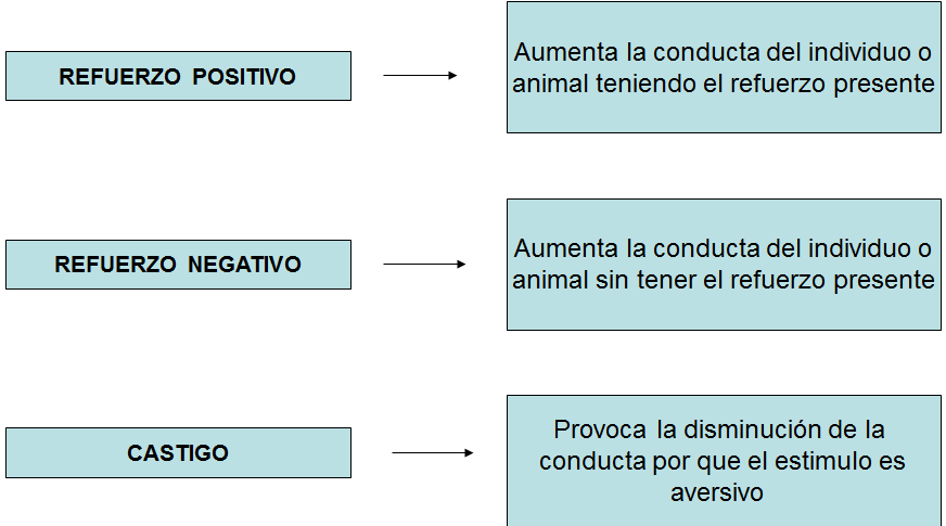 Escuelas psicológicas históricamente importantes: Conductismo, humanismo, psicología cognitiva.