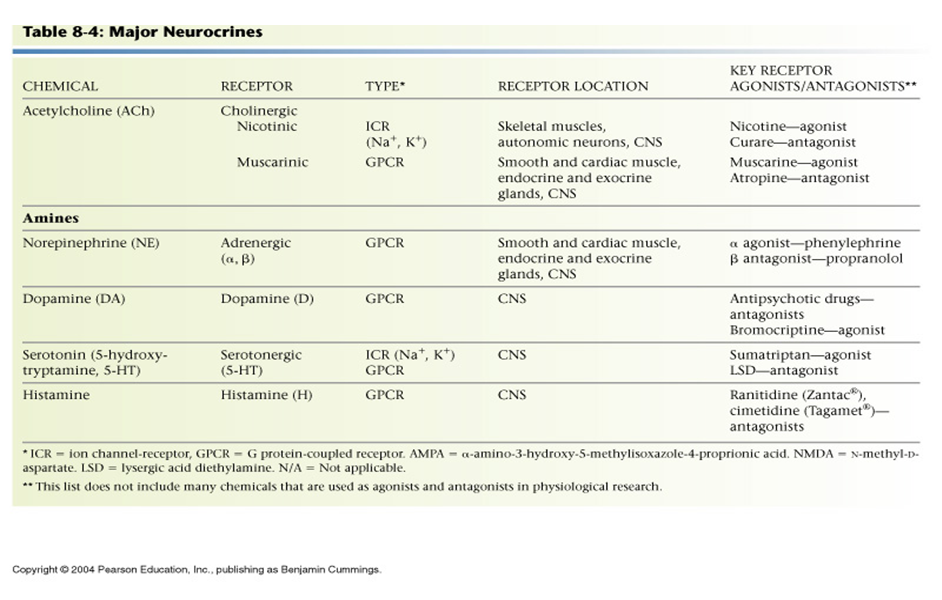 Los Neurotransmisores: - Definición - Importancia - Desequilibrio 16. Principales Neurotransmisores: - Drogas en los neurotrasmisores