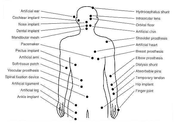 Describe las características, patogenicidad, vías de transmisión y prevención. Staphylococcus y Streptococcus.