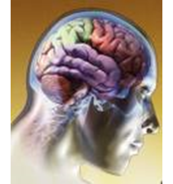 Paradigma Constructivista: - Aprendizaje por recepción significativa. - Aprendizaje por mediación social - Aprendizaje por reestructuración cognitiva.