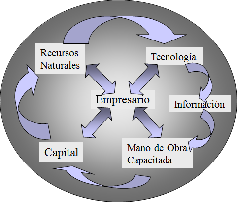 Concepto de Creatividad y de Innovación. Relación entre creatividad e innovación. Las fases del proceso de creatividad.
