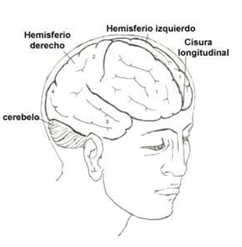 Medición del cociente creativo e innovador
