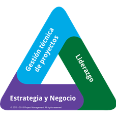 Los proyectos innovadores aplicados. Formas de implementarla. Proyectos innovadores aplicados a emprendimiento