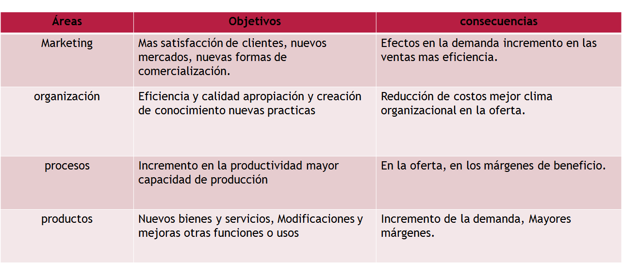 Puesta en marcha y control de la innovación. Organización. Impacto motivador