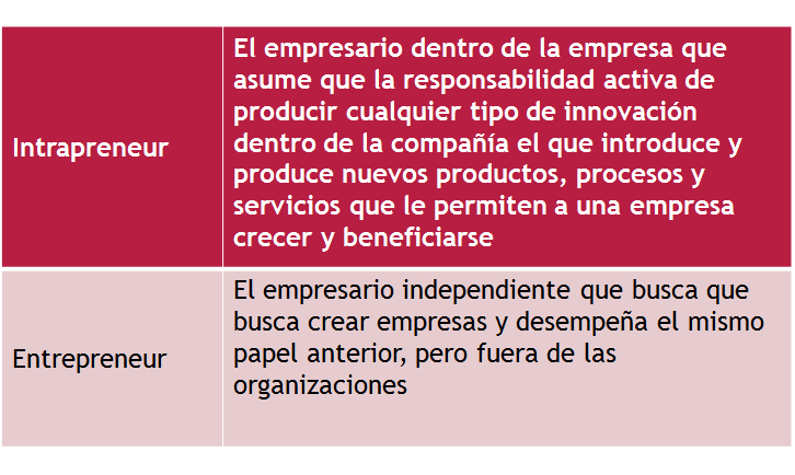 Puesta en marcha y control de la innovación. Organización. Impacto motivador