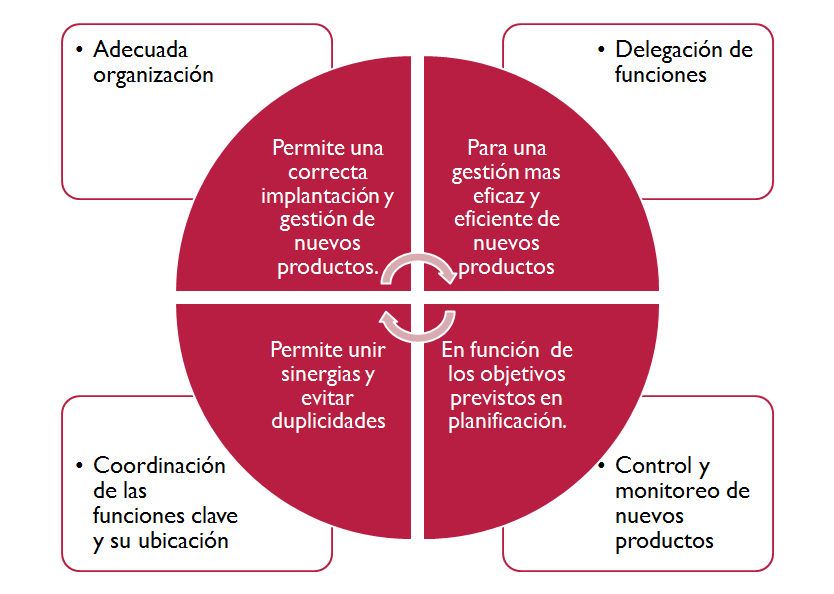 Puesta en marcha y control de la innovación. Organización. Impacto motivador