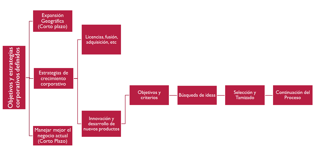 Puesta en marcha y control de la innovación. Organización. Impacto motivador