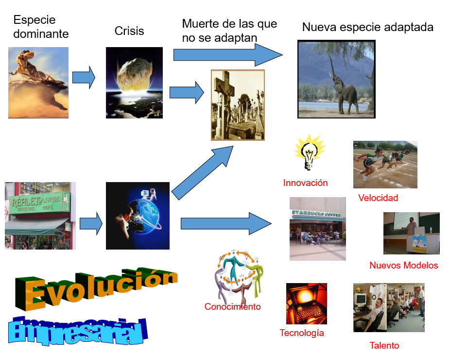 FUNDAMENTOS TEÓRICOS