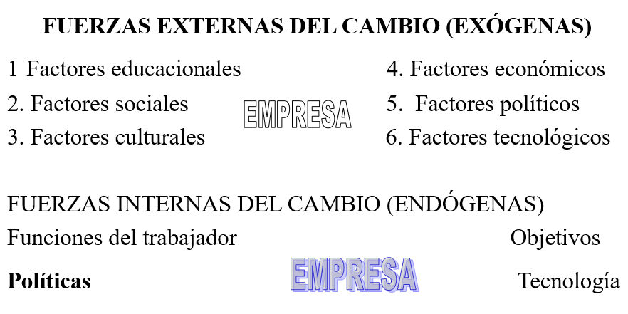 FUNDAMENTOS TEÓRICOS