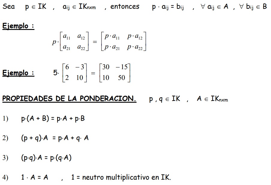 Matrices: definición.