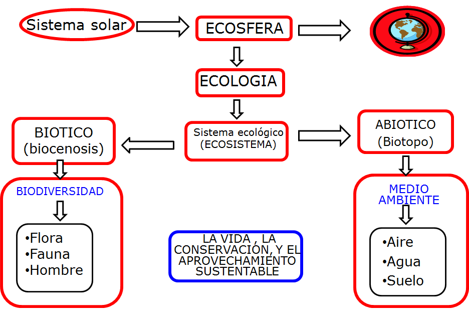 Ecología y Ecosistema