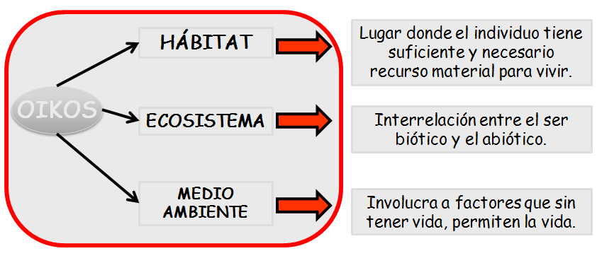 Ecología y Ecosistema