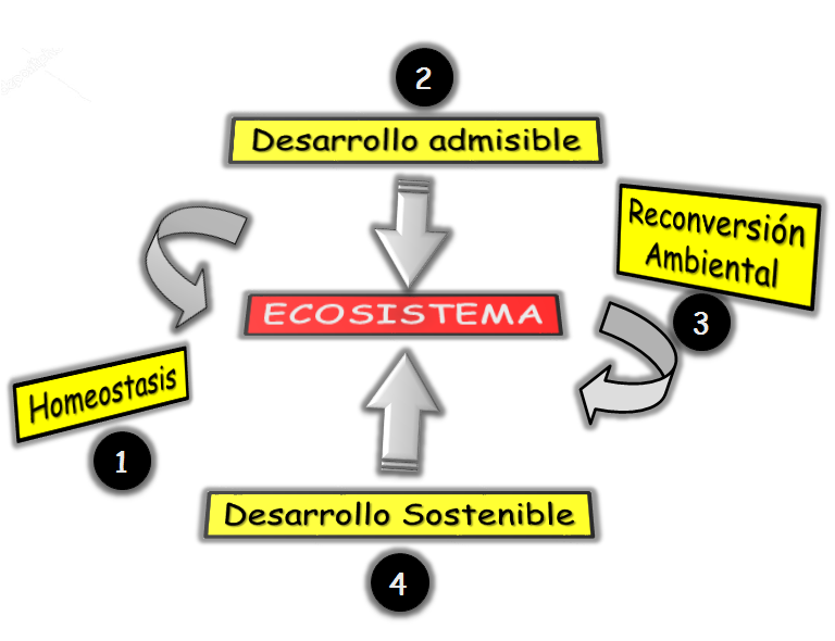 Ecología y Ecosistema