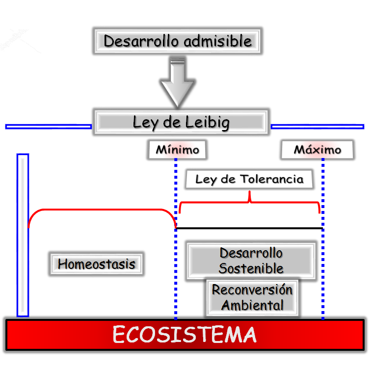 Ecología y Ecosistema
