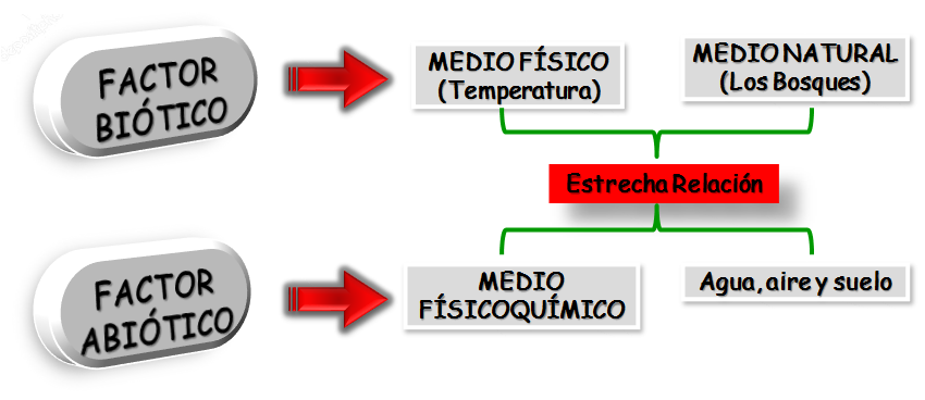 Ecología y Ecosistema